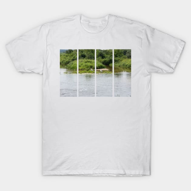 Lake with swans and ducks in the water. Relax in the nature. Sunny summer day in Poland. T-Shirt by fabbroni-art